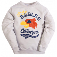 10-5803 "EAGLES" Лонгслив для мальчика на манжете, 5-8 лет, серый 10-5803 "EAGLES" Лонгслив для мальчика на манжете, 5-8 лет, серый